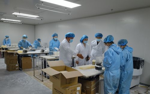 山東省藥監局第一分局開展咽拭子產品監督檢查